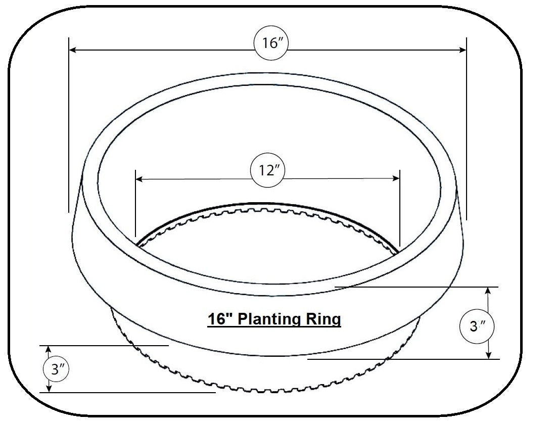 WATERROUNDS® Planting Rings – Deep-Root Watering & Clean Borders for Trees and Shrubs