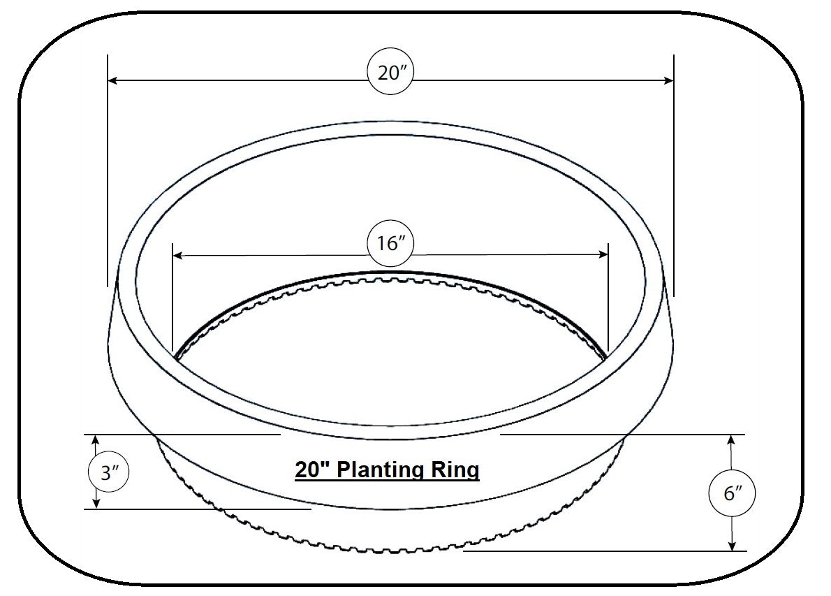 WATERROUNDS® Planting Rings – Deep-Root Watering & Clean Borders for Trees and Shrubs