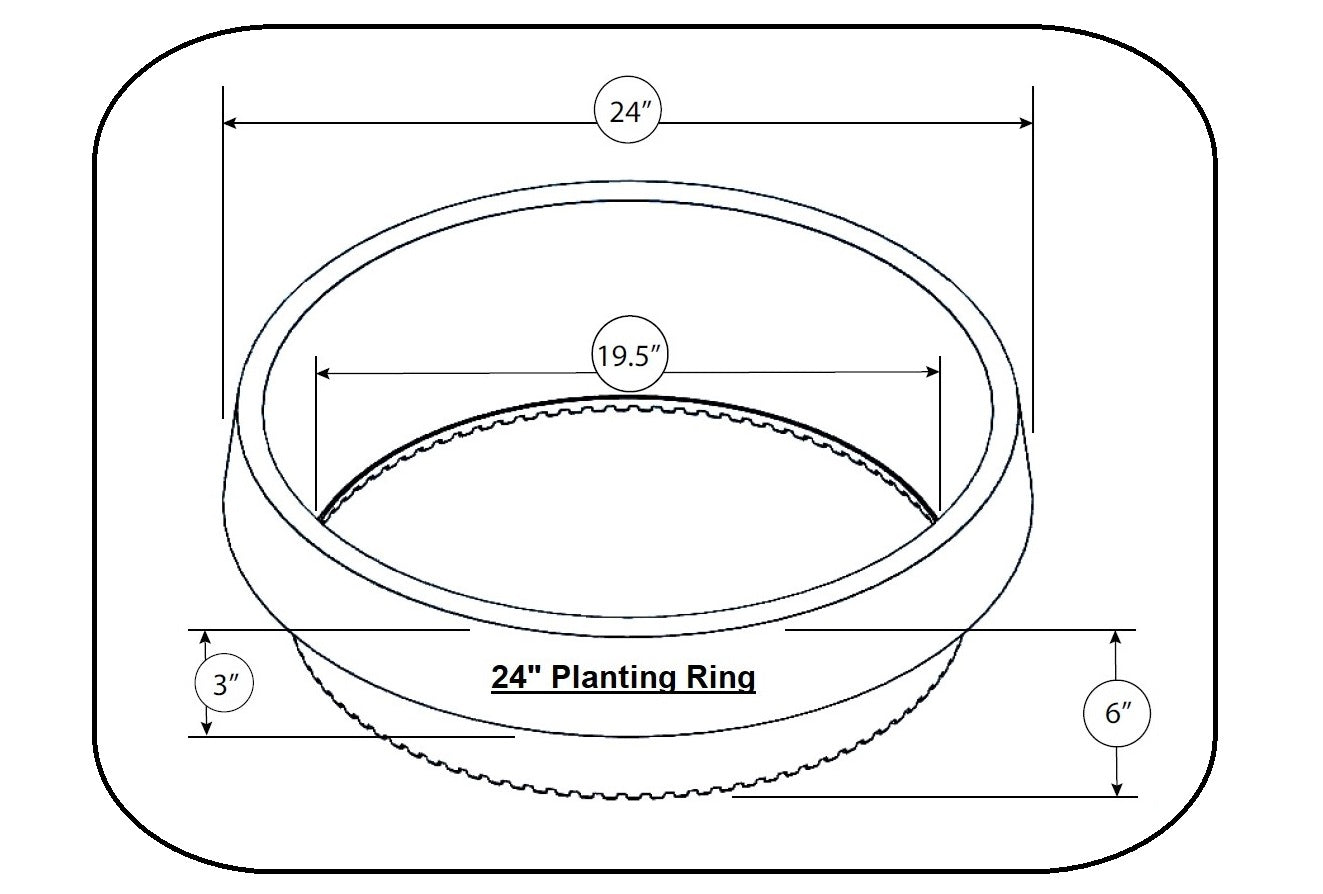 WaterRounds® Planting Rings – Deep-Root Watering & Clean Borders for Trees and Shrubs