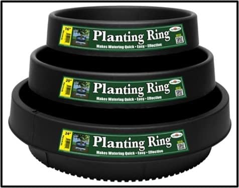 WaterRounds® Planting Rings – Deep-Root Watering & Clean Borders for Trees and Shrubs