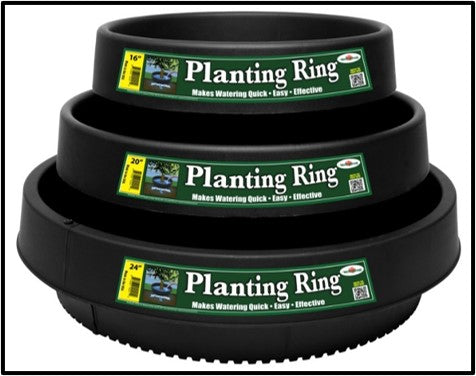 WATERROUNDS® Planting Rings – Deep-Root Watering & Clean Borders for Trees and Shrubs
