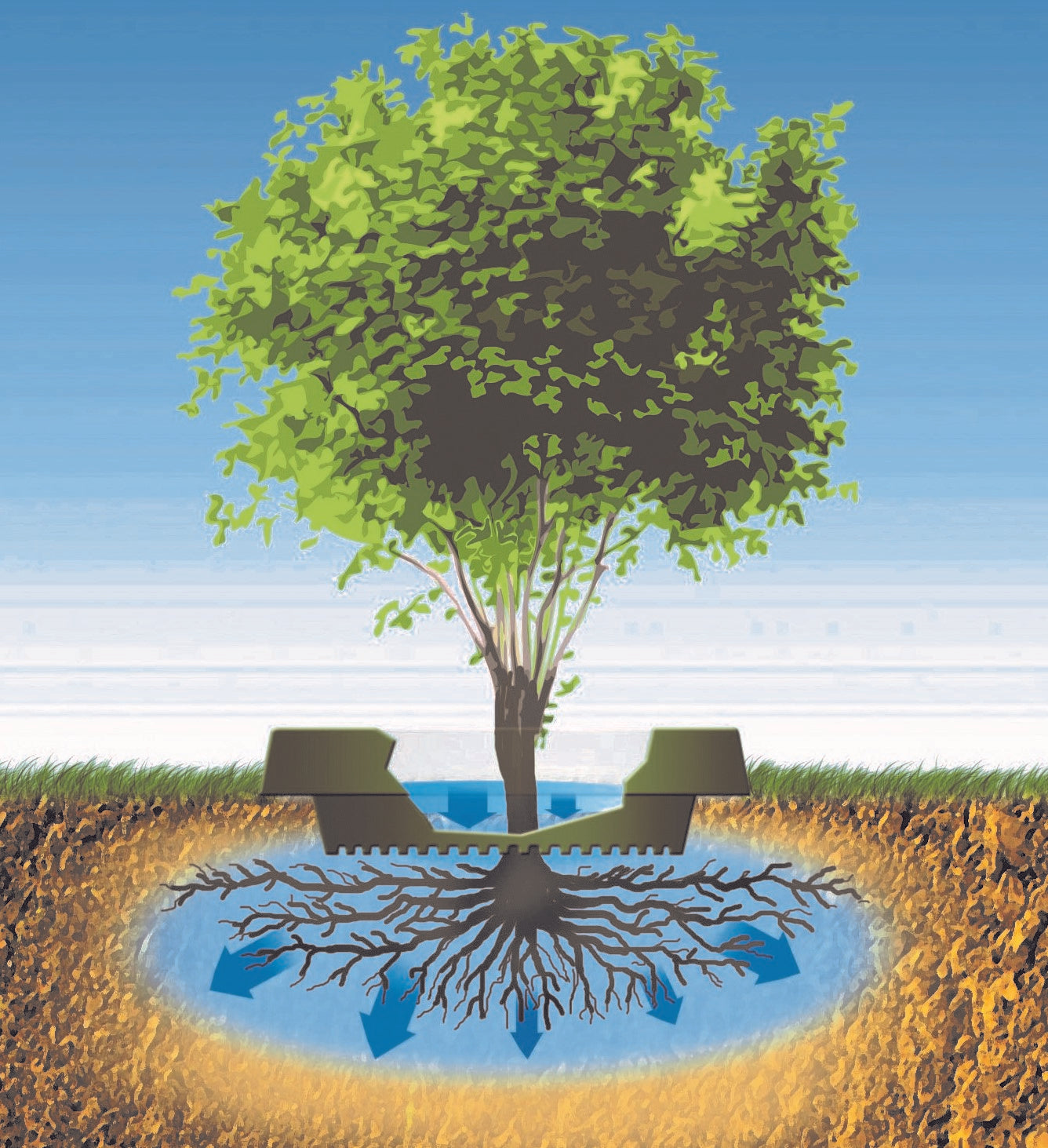 WATERROUNDS® Planting Rings – Deep-Root Watering & Clean Borders for Trees and Shrubs