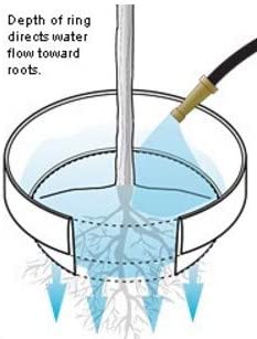 WaterRounds® Planting Rings – Deep-Root Watering & Clean Borders for Trees and Shrubs