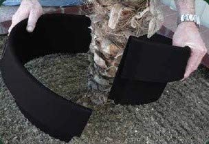 WaterRounds® Planting Rings – Deep-Root Watering & Clean Borders for Trees and Shrubs