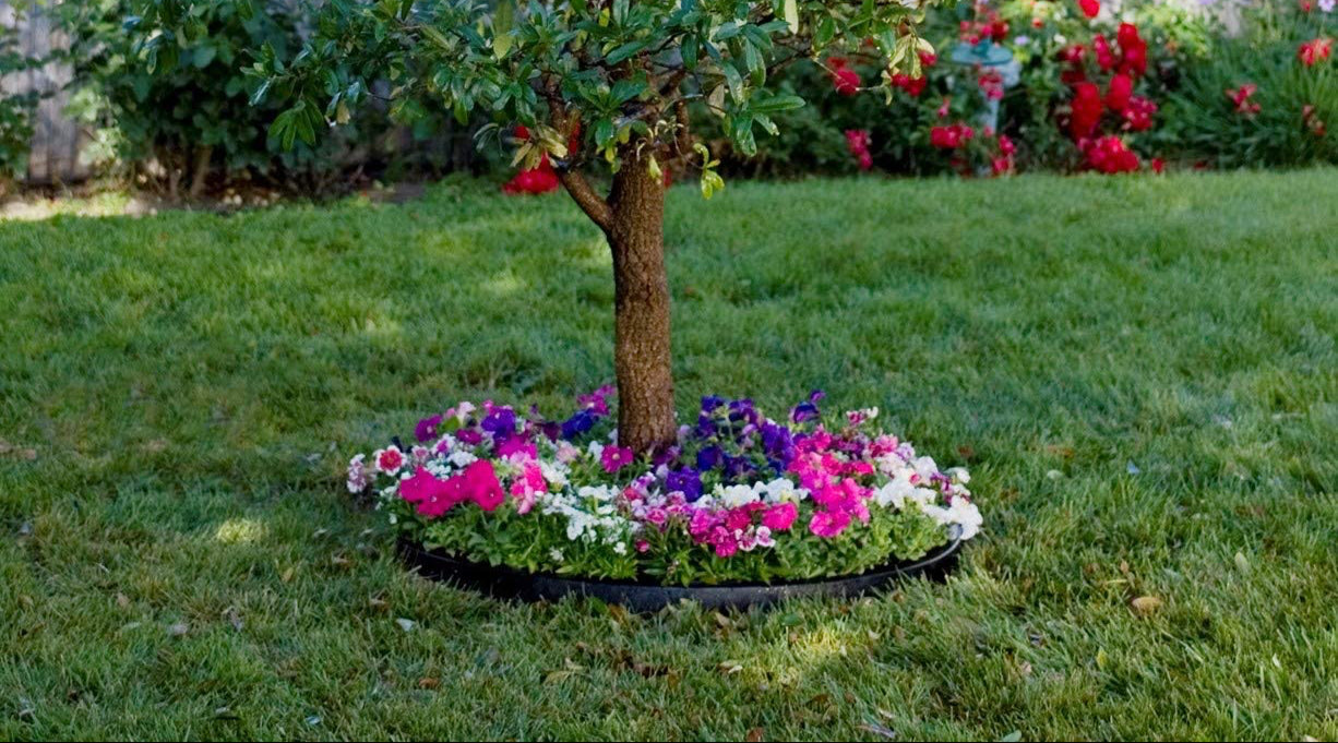 WaterRounds® Planting Rings – Deep-Root Watering & Clean Borders for Trees and Shrubs