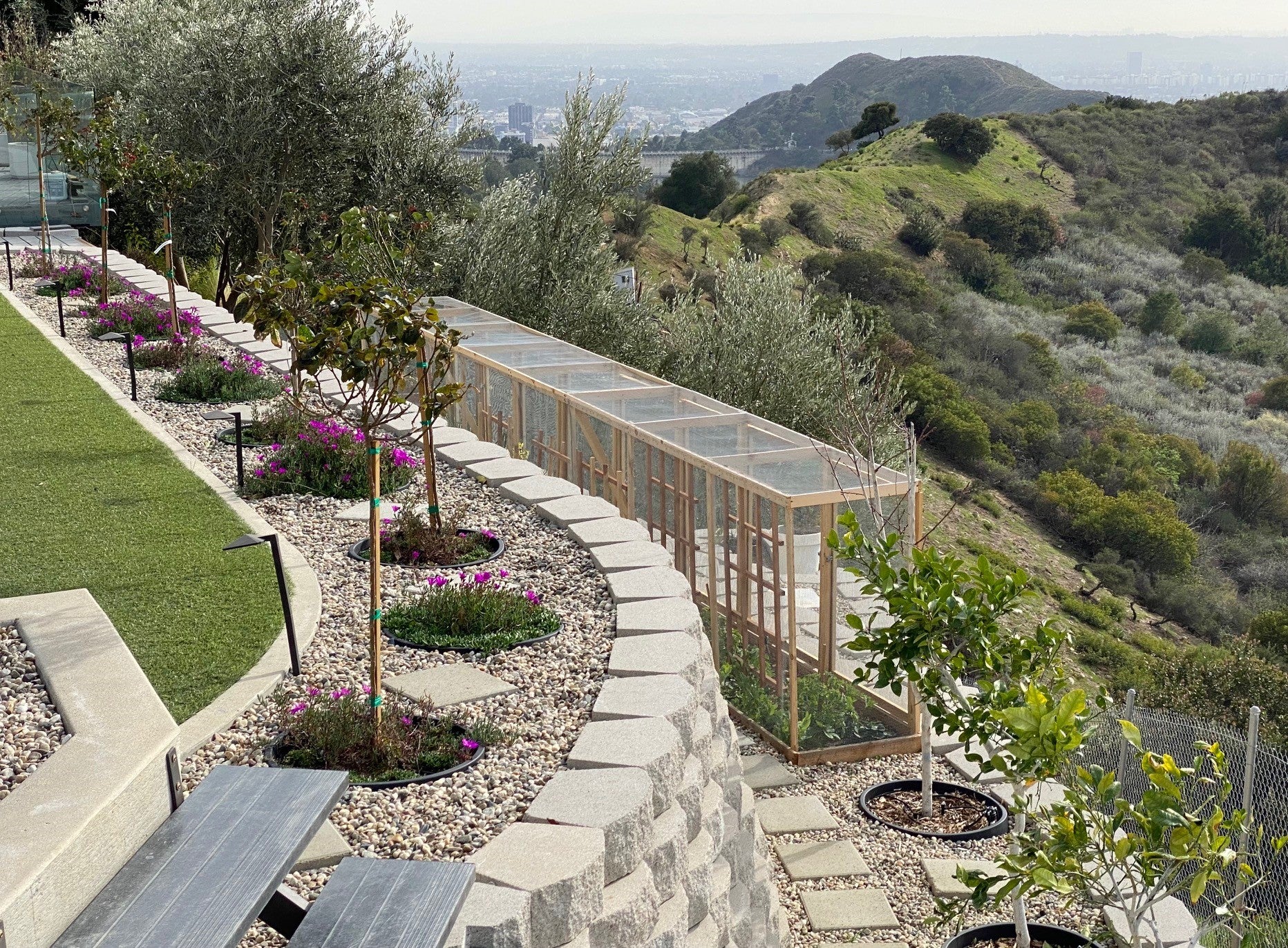 WaterRounds® Planting Rings – Deep-Root Watering & Clean Borders for Trees and Shrubs