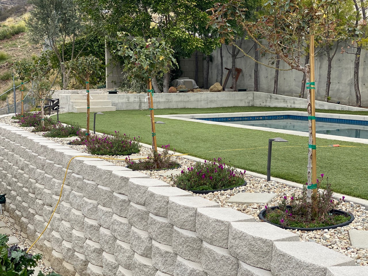 WaterRounds® Planting Rings – Deep-Root Watering & Clean Borders for Trees and Shrubs