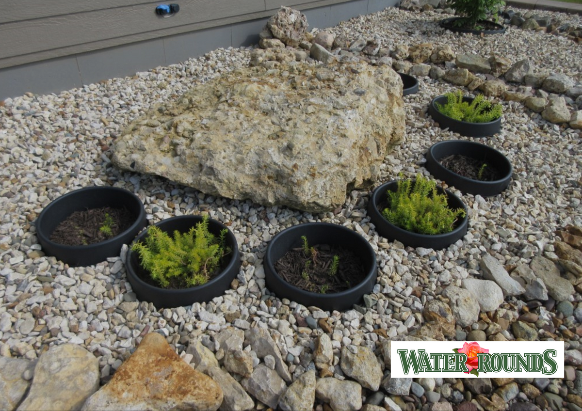 How Watering Rings Conserve Water & Promote Sustainability