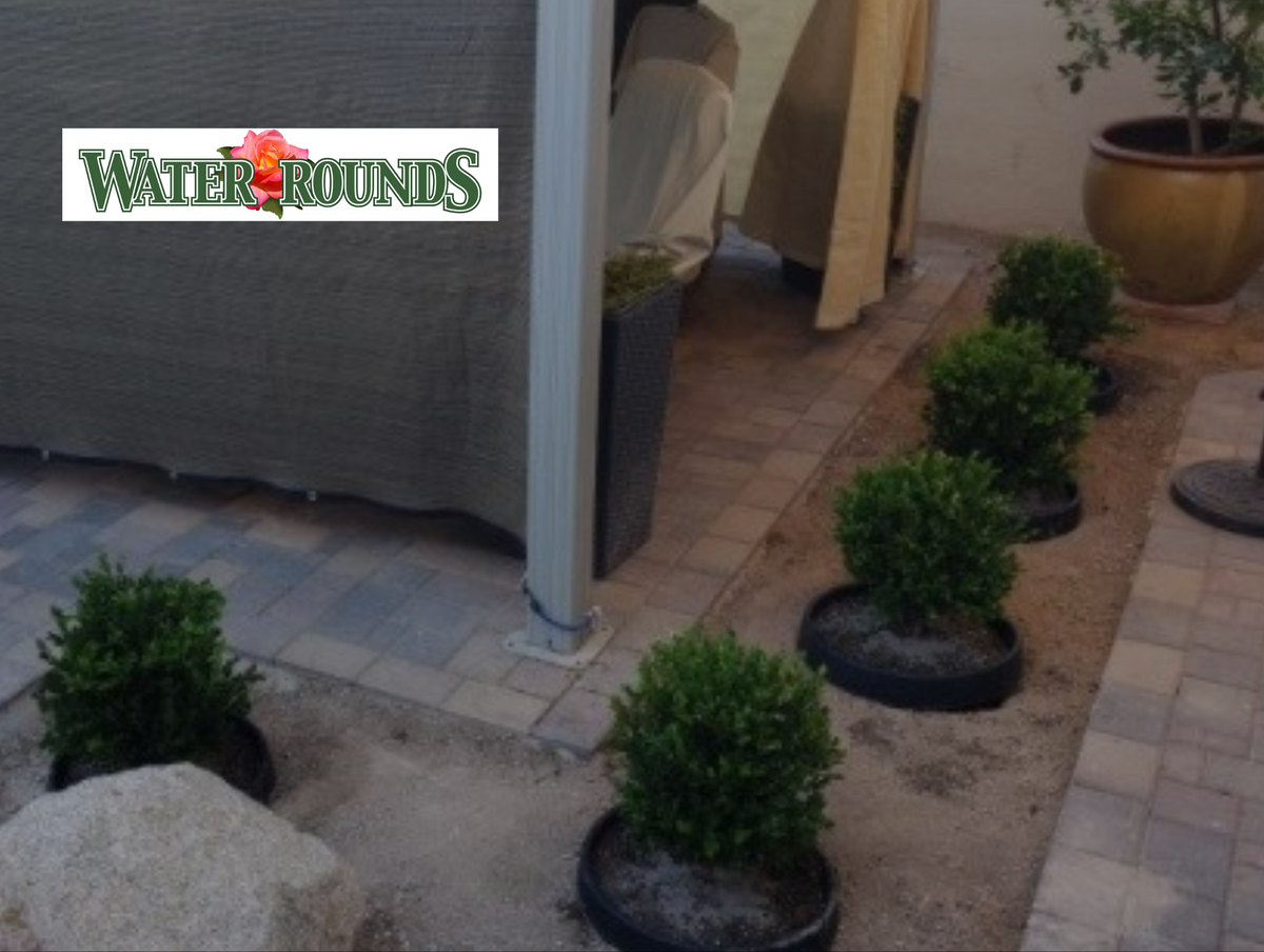 Preparing Your Plants & Trees for Every Season with WaterRounds