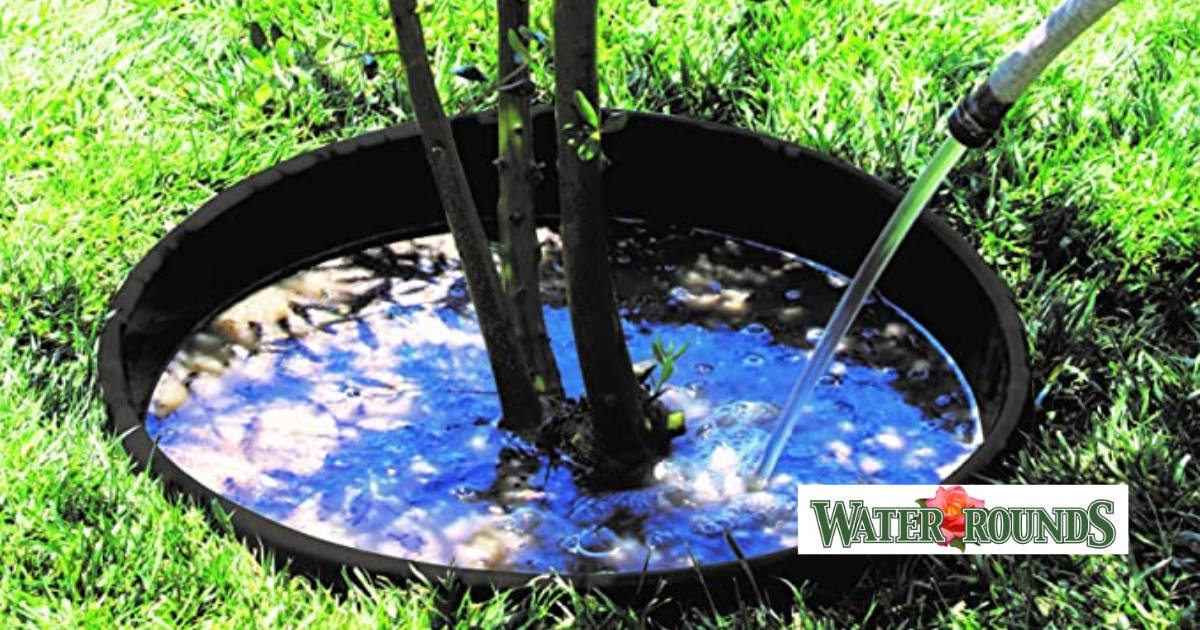 Best Practices for Planting and Maintaining Healthy Gardens