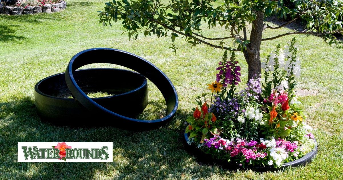 How Watering Rings Conserve Water and Promote Sustainability