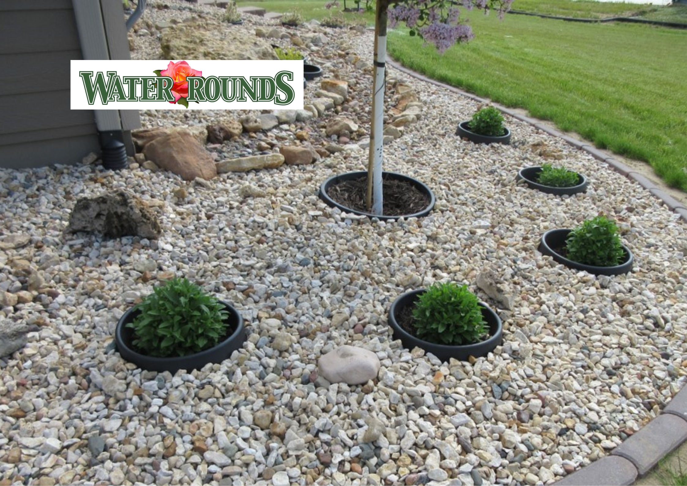 Real Gardens, Real Results: Success Stories with WaterRounds