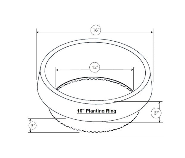 WATERROUNDS® Planting Rings – Deep-Root Watering & Clean Borders for Trees and Shrubs