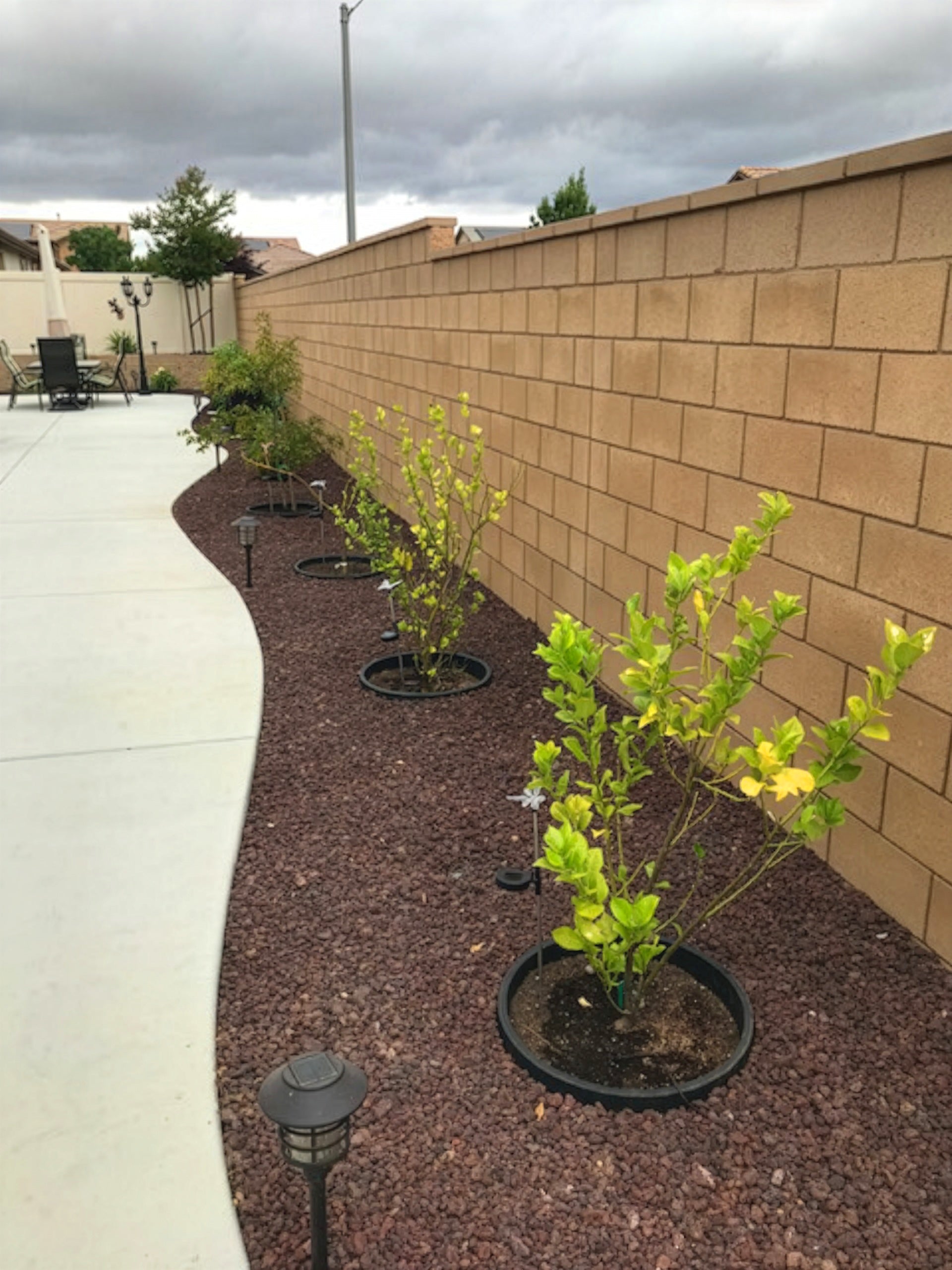 WATERROUNDS® Planting Rings – Deep Watering Basins & Edging for Trees, Rose, Shrubs & Vegetables