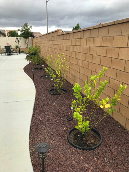 WATERROUNDS® Planting Rings – Deep Watering Basins & Edging for Trees, Rose, Shrubs & Vegetables