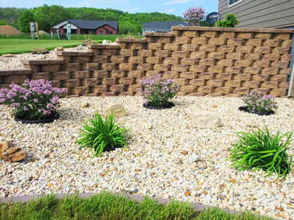 WATERROUNDS® Planting Rings – Deep Watering Basins & Edging for Trees, Rose, Shrubs & Vegetables