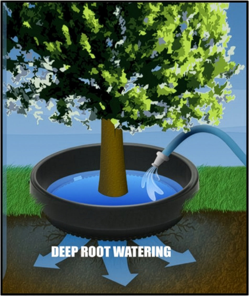 WATERROUNDS® Planting Rings – Deep Watering Basins & Edging for Trees, Rose, Shrubs & Vegetables