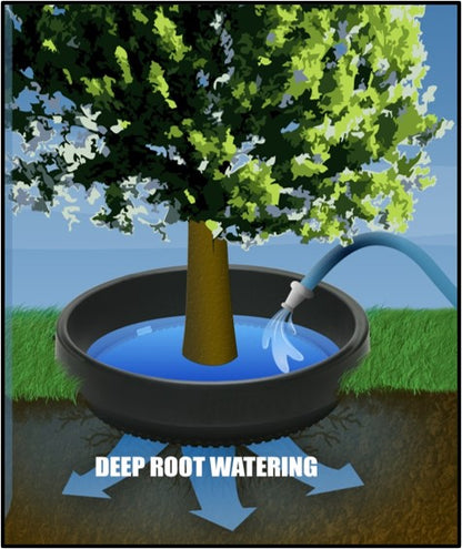 WATERROUNDS® Planting Rings – Deep-Root Watering & Clean Borders for Trees and Shrubs