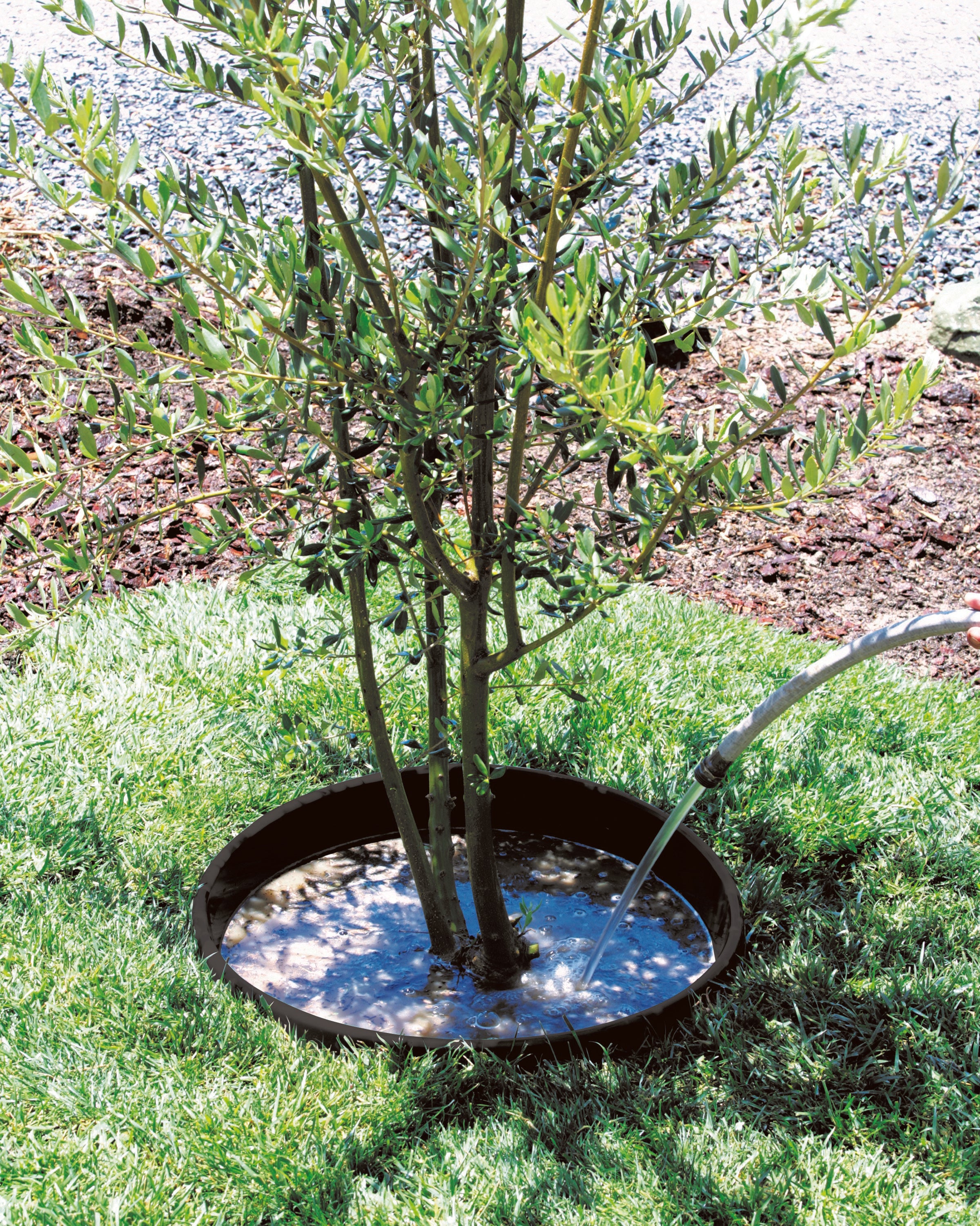WATERROUNDS® Planting Rings – Deep Watering Basins & Edging for Trees, Rose, Shrubs & Vegetables