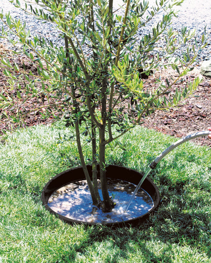 WATERROUNDS® Planting Rings – Deep Watering Basins & Edging for Trees, Rose, Shrubs & Vegetables