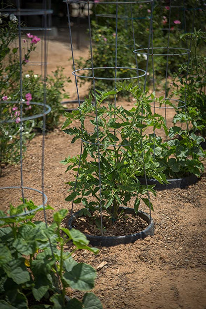 VegSTABLE® Rings – Anchor Tomato Cages, Support Climbing Veggies, and Deep-Root Watering in One