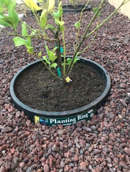 12 Pack of 24 inch Planting Rings